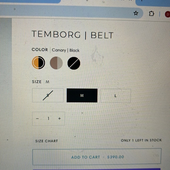 Marie Saint Pierre Temborg Belt - Picture 2 of 6